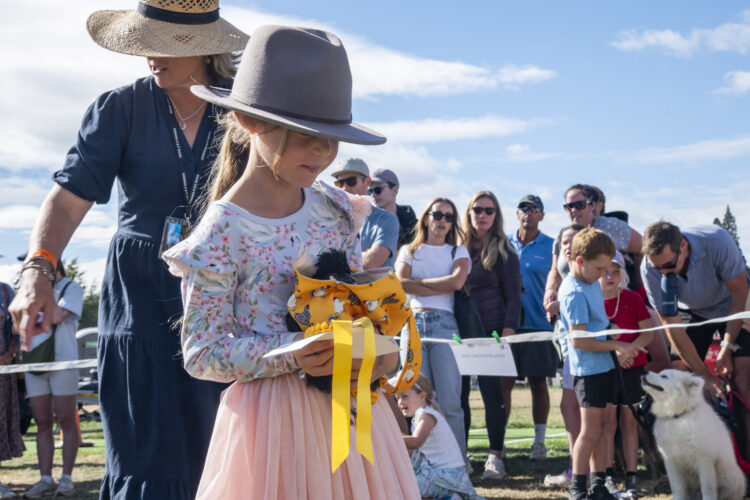 2025 Wānaka A&P - Dog & Pet Judging-44