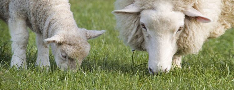 Gene-marker-lab_edited