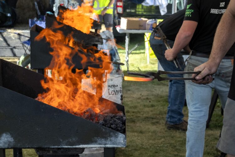 2026-03-13 Wānaka A&P Show - Farriers-25