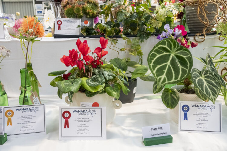 2026 Wānaka A&P Show - Home Industry-8